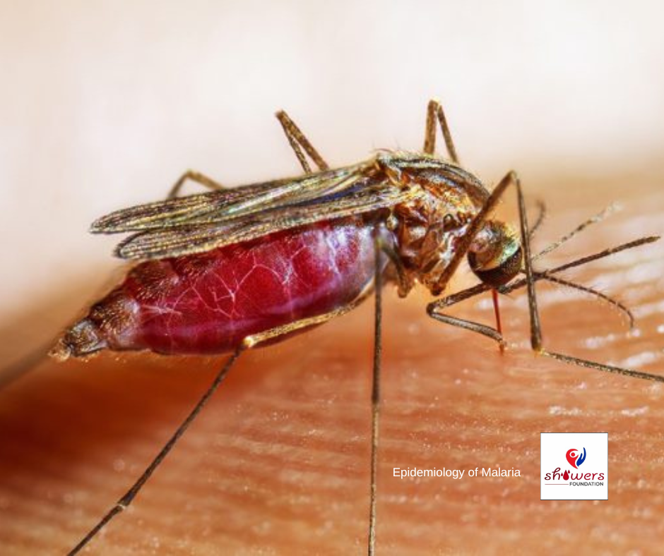 A picture of a Mosquito feeding on human skin, sucking blood and transmitting malarai plasmodium to the host.